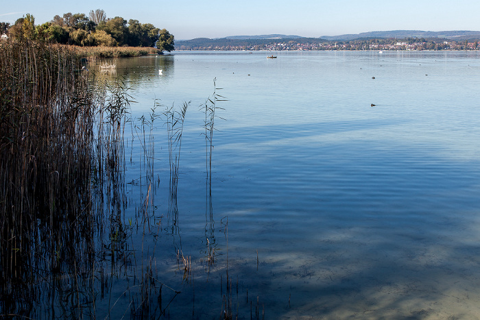 Insel Reichenau, Gnadensee (Untersee, Bodensee), Allensbach Insel Reichenau