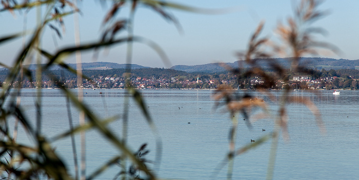 Gnadensee (Untersee, Bodensee), Allensbach Insel Reichenau