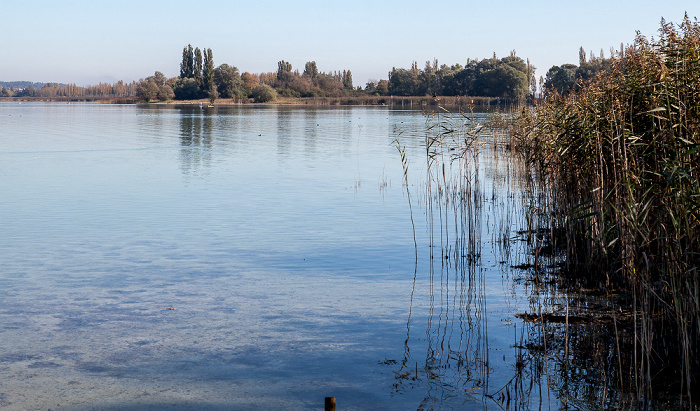 Insel Reichenau, Gnadensee (Untersee, Bodensee)