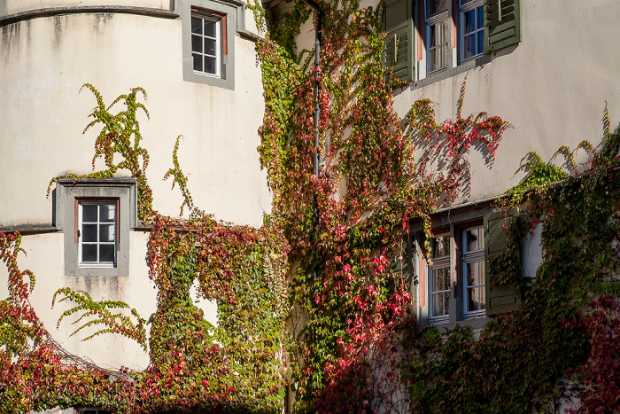 Insel Reichenau Mittelzell: Kloster Reichenau