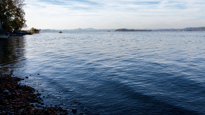 Insel Reichenau Gnadensee (Untersee, Bodensee)