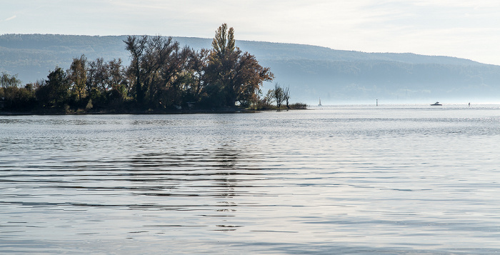 Insel Reichenau Zeller See und Rheinsee (Untersee, Bodensee)