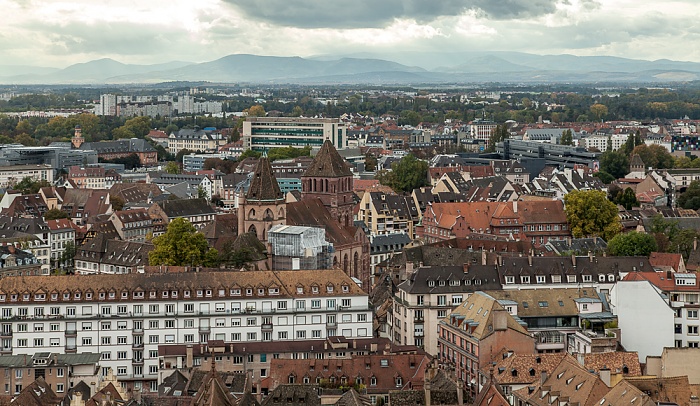 Blick von der Turmplattform des Straßburger Münsters (Cathédrale Notre-Dame de Strasbourg): Grande Île Église Saint-Thomas