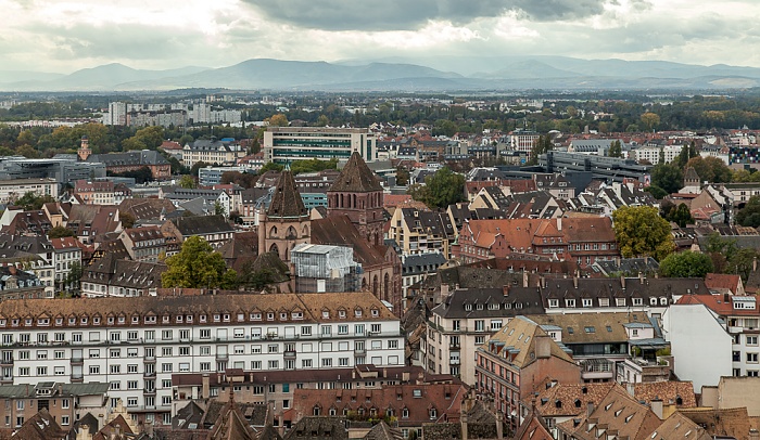 Blick von der Turmplattform des Straßburger Münsters (Cathédrale Notre-Dame de Strasbourg): Grande Île Straßburg