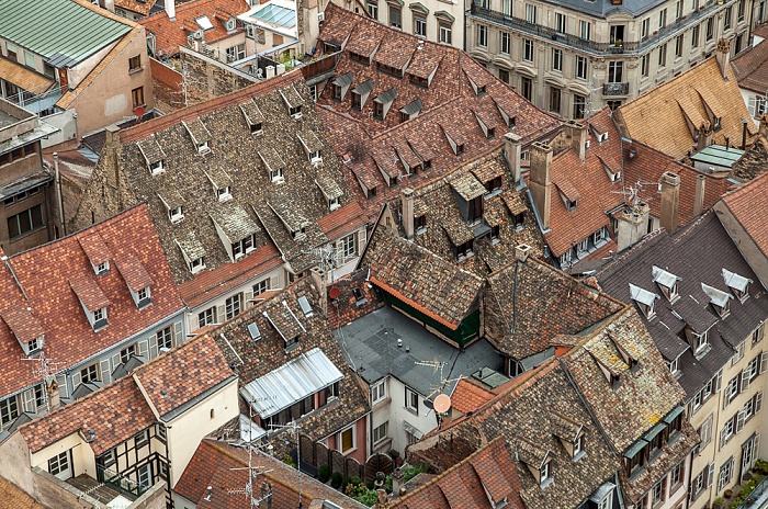 Blick von der Turmplattform des Straßburger Münsters (Cathédrale Notre-Dame de Strasbourg): Grande Île Straßburg