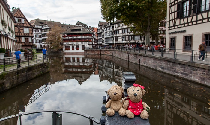 Straßburg Petite France: Teddy und Teddine Ill