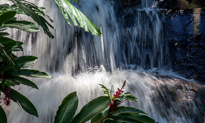 Victoria (Seychellen) Mont Fleuri Botanical Gardens: Wasserfall