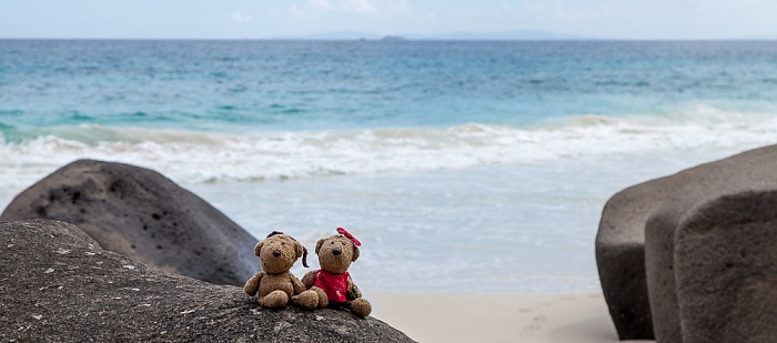Mahé Carana Bay: Teddy und Teddine