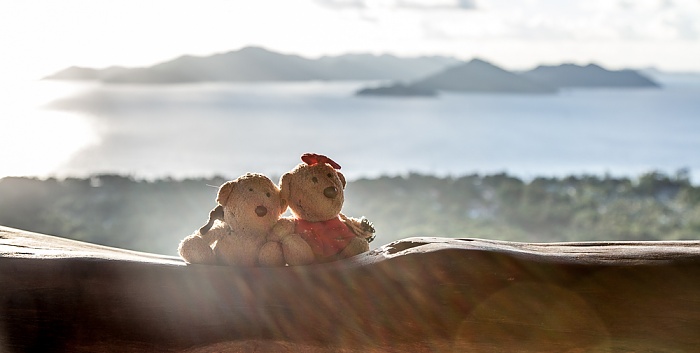 La Digue Belle Vue: Teddy und Teddine