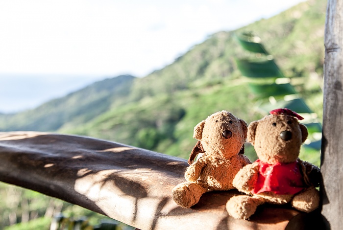 La Digue Belle Vue: Teddy und Teddine