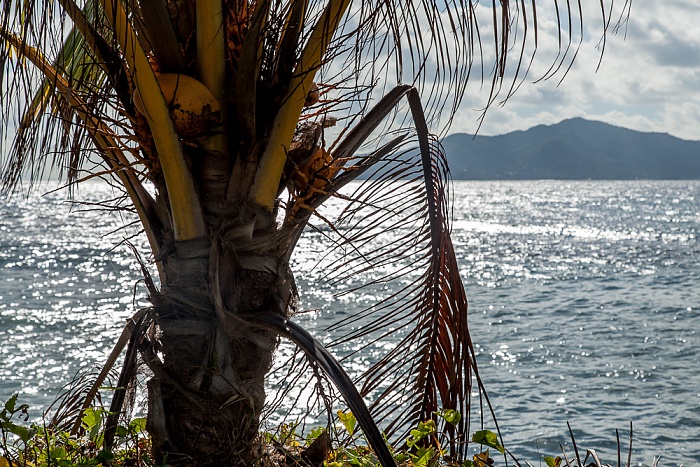 La Digue La Passe: Indischer Ozean