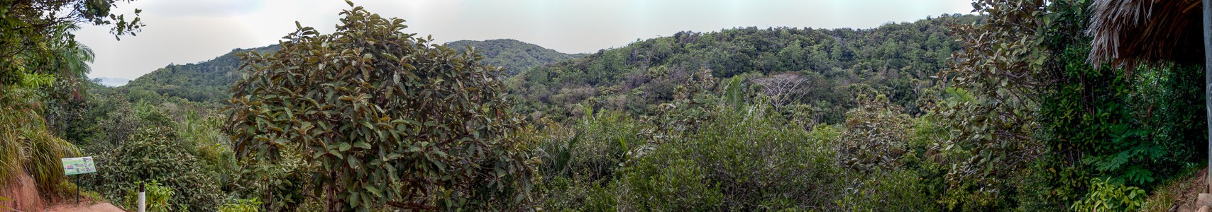 Praslin Vallée de Mai