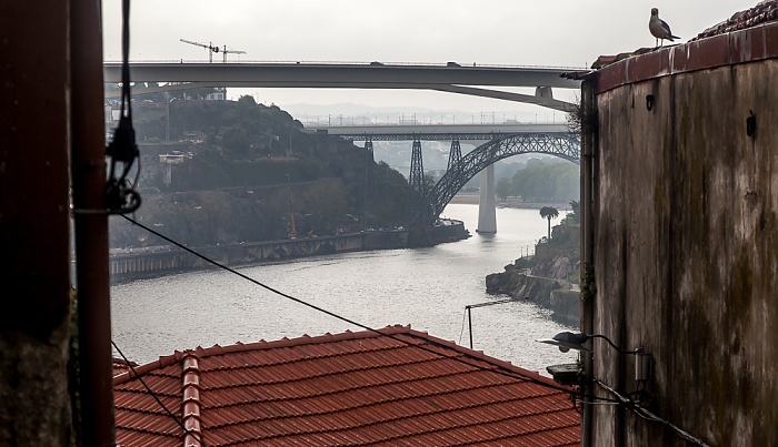 Porto Douro Ponte de São João Ponte do Infante Ponte Maria Pia Rio Douro