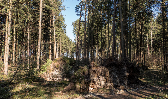 Forstenrieder Park