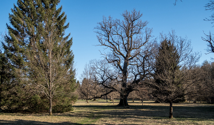 Forstenrieder Park Eichelgarten