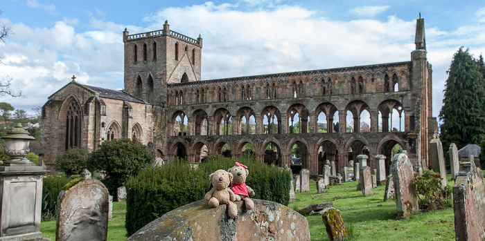 Jedburgh Abbey: Teddy und Teddine