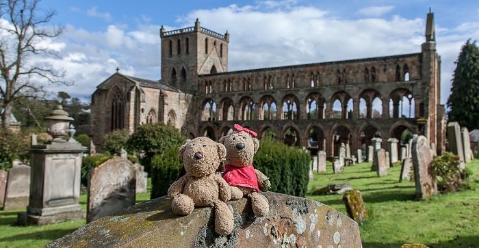 Jedburgh Abbey: Teddy und Teddine