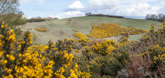 Selkirk Scottish Borders (Southern Uplands)