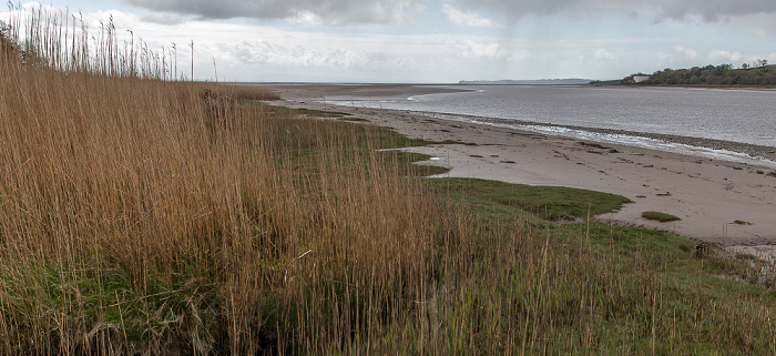 Solway Firth, River Nith Dumfries