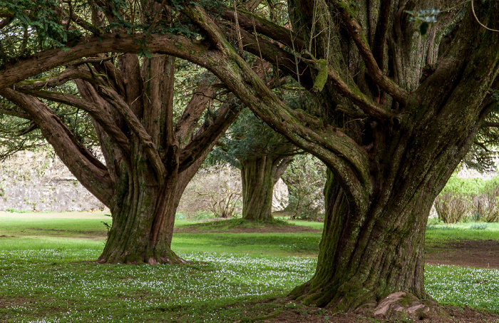 Thornhill Drumlanrig Castle Gardens