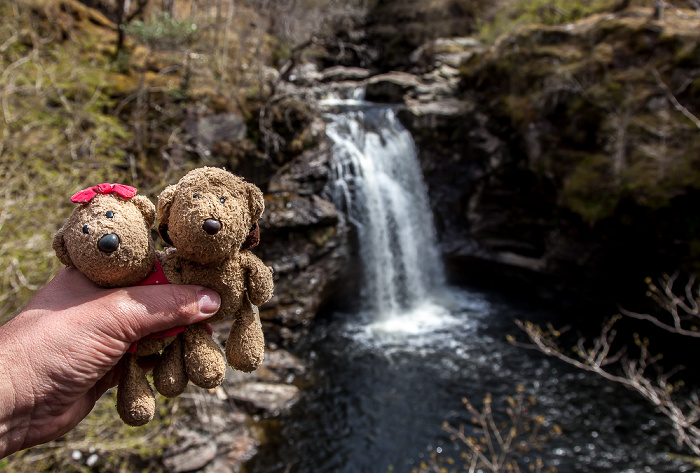 Crianlarich Loch Lomond and The Trossachs National Park: Falls of Falloch - Teddine und Teddy