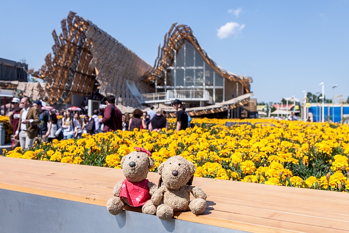 Mailand EXPO Milano 2015: Chinesischer Pavillon - Teddine und Teddy Chinesischer Pavillon EXPO 2015