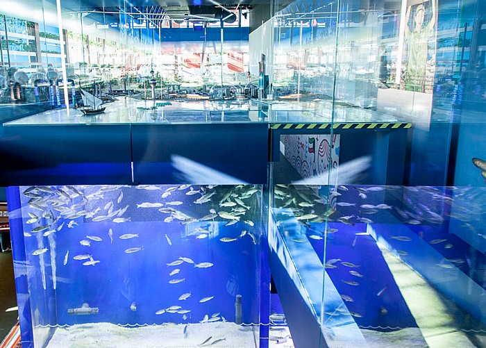 Mailand EXPO Milano 2015: Kuwaitischer Pavillon - Modell von Kuwait-Stadt über Aquarium Kuwaitischer Pavillon EXPO 2015