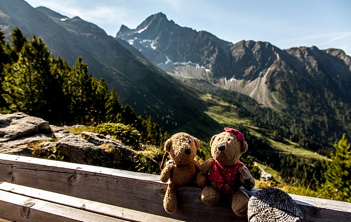 Hochoetz Bielefelder Hütte: Teddy und Teddine