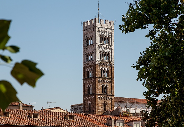 Blick vom Befestigungswall (Mura di Lucca): Cattedrale di San Martino