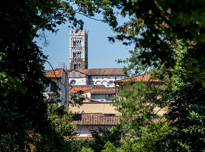 Blick vom Befestigungswall (Mura di Lucca): Cattedrale di San Martino Lucca