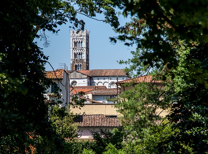 Blick vom Befestigungswall (Mura di Lucca): Cattedrale di San Martino