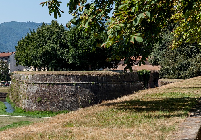 Befestigungswall (Mura di Lucca): Baluardo San Colombano Lucca