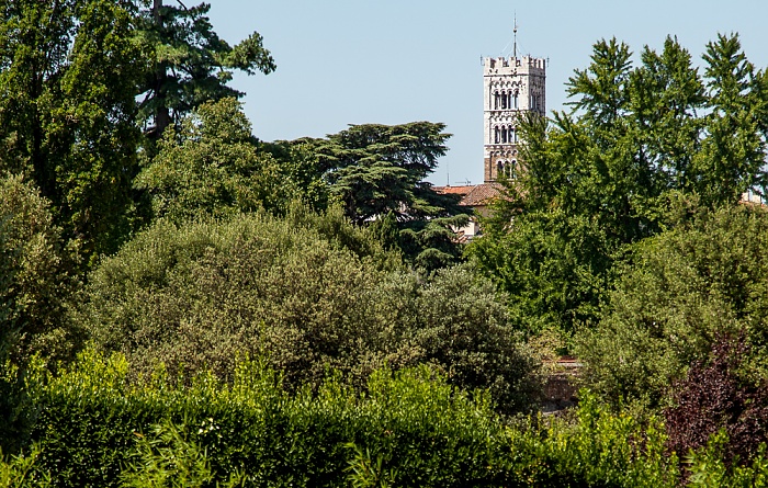 Blick vom Befestigungswall (Mura di Lucca): Cattedrale di San Martino