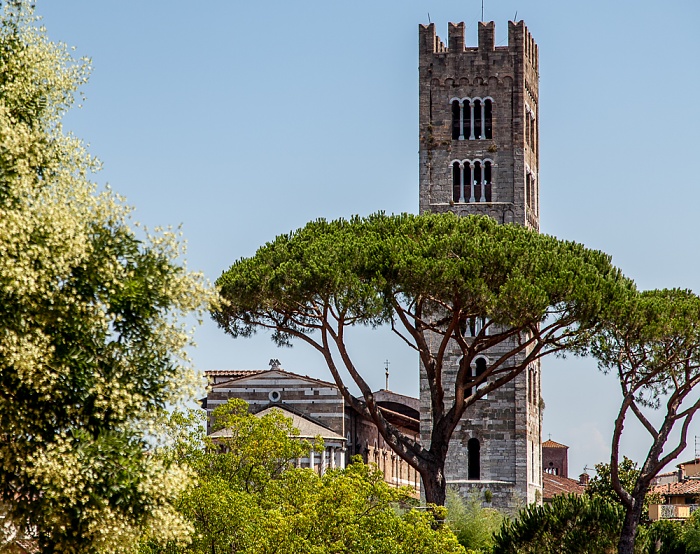 Blick vom Befestigungswall (Mura di Lucca): Basilica di San Frediano Lucca