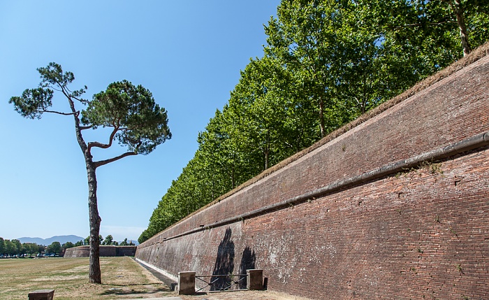 Befestigungswall (Mura di Lucca) Lucca