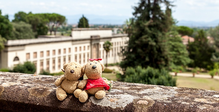 Giardino della Villa Medicea di Poggio a Caiano: Teddy und Teddine