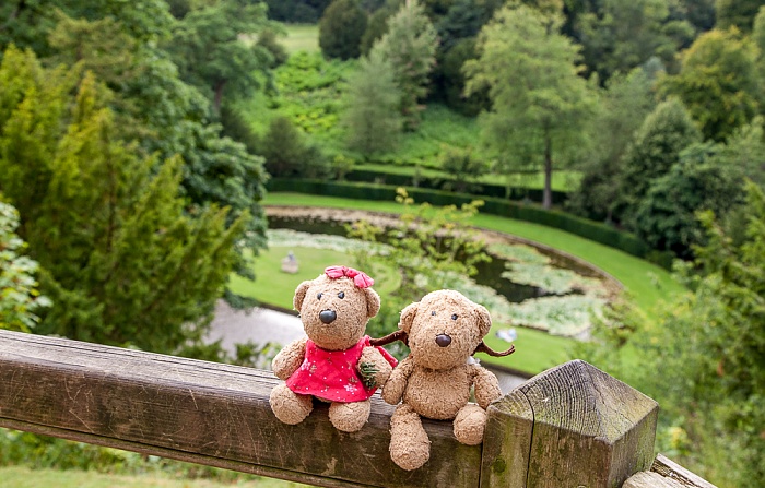 Ripon Studley Royal Water Garden: Teddine und Teddy