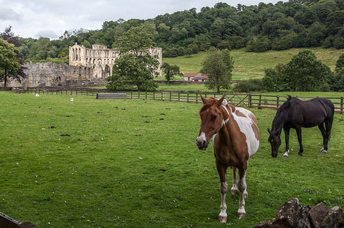 Rievaulx Rievaulx Abbey