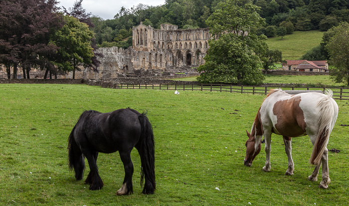 Rievaulx Rievaulx Abbey