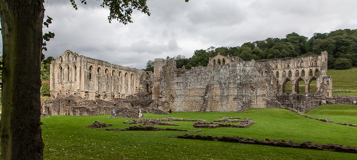 Rievaulx Abbey