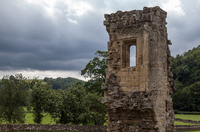 Rievaulx Abbey