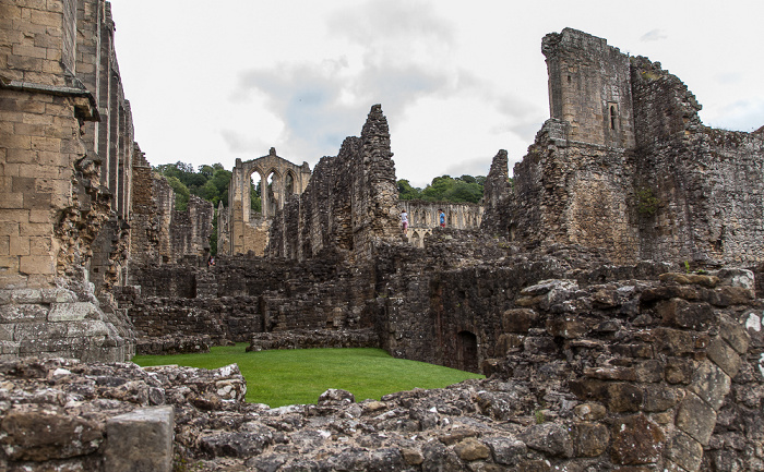 Rievaulx Abbey