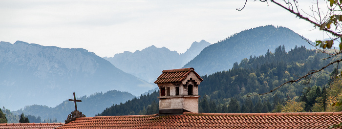 Mangfallgebirge Tatzelwurm