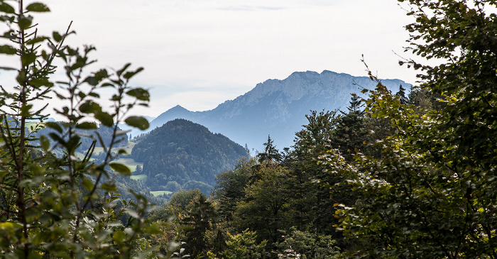 Tatzelwurm Mangfallgebirge