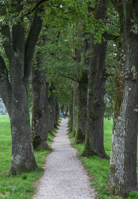 Kottmüllerallee Murnau