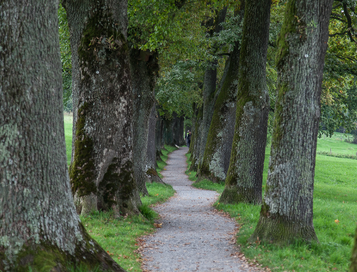 Murnau Kottmüllerallee