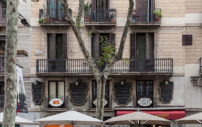 Barcelona Ciutat Vella: Barri Gòtic