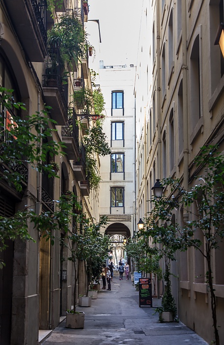 Ciutat Vella: Sant Pere, Santa Caterina i la Ribera Barcelona