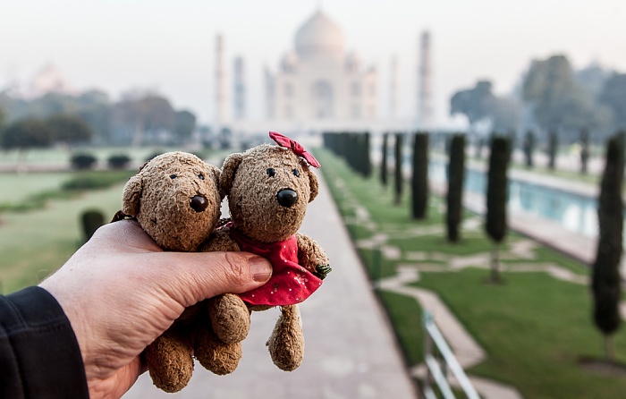 Agra Taj Mahal: Teddy und Teddine