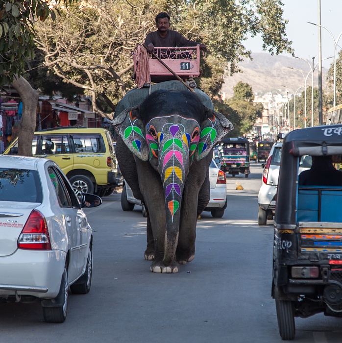 Pink City: Amer Road - Bunter Elefant Jaipur